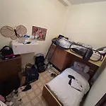 White Animals House *