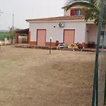 White Animals House