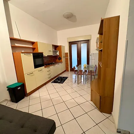 Apartment White Animals House
