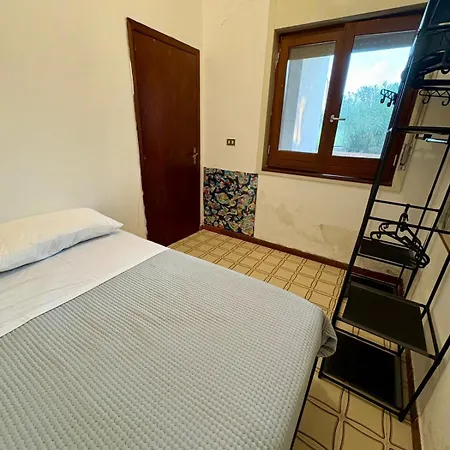 White Animals House Apartment *