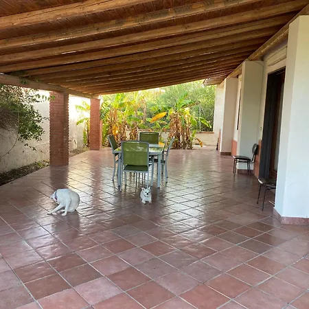White Animals House *
