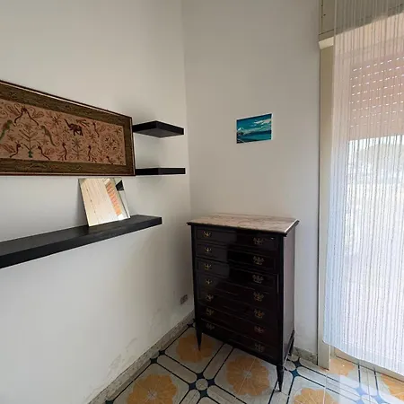 Apartment White Animals House